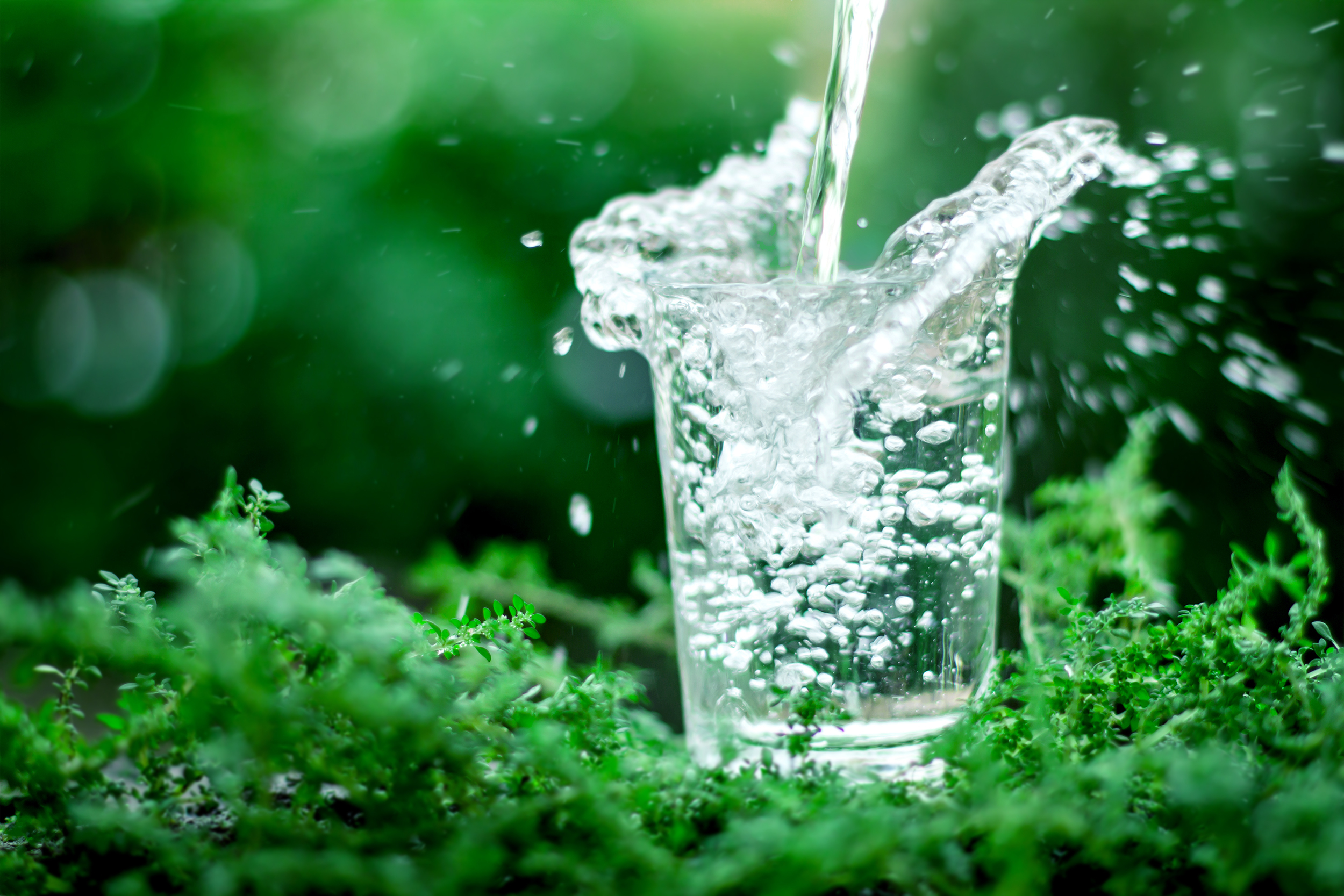 the,glass,of,cool,fresh,water,on,natural,green,background the,glass,of,cool,fresh,water,on,natural,green,background